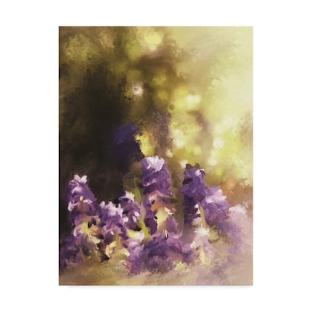 Lois Bryan 'Impressions Of Muscari' Canvas Art,35x47